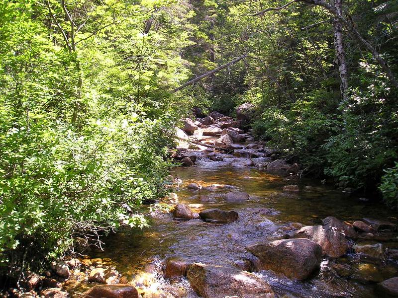 CdearBrook (7).JPG - This was one of the more picturesque streams.